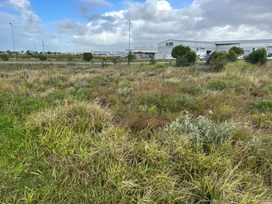 0 Bedroom Property for Sale in Fountains Estate Eastern Cape